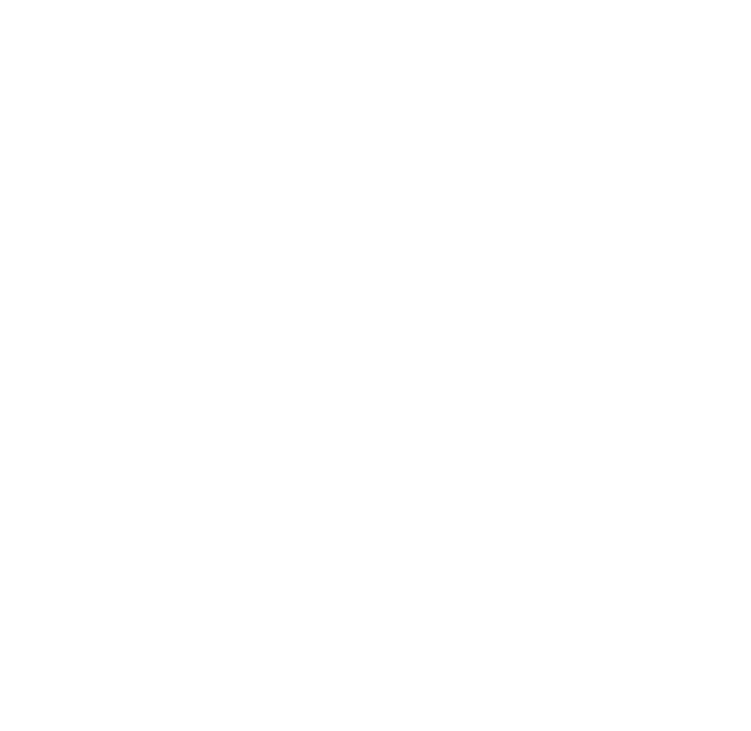 Logo DIAMOND trans-01 (1)